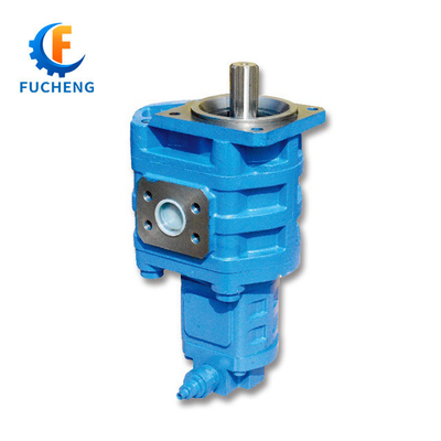 High Pressure Hydraulic Gear Pump Cbgj CBGj2004 CBGj2063 with Standard Structure