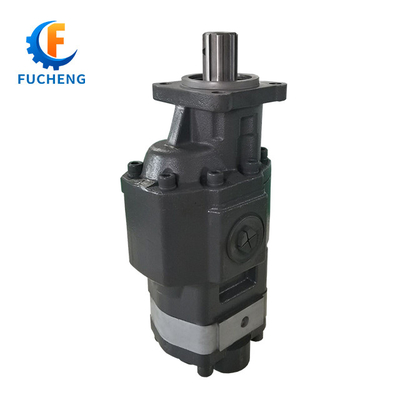 Standard CbhsN17-80 Hydraulic Gear Pump for Dump Truck in Black Performance