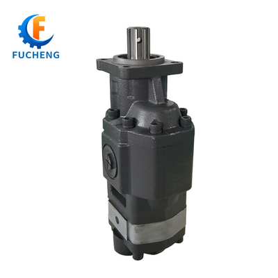 Standard CbhsN17-80 Hydraulic Gear Pump for Dump Truck in Black Performance
