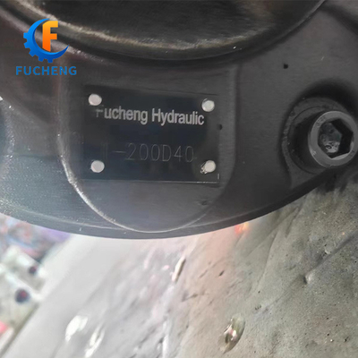 1-200D40 Hydraulic Motor for Standard from Chinese within Black Color