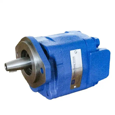 Hydraulic Gear Motor M30 M31 M50 M51 M75 M76 M315 M330 M350 M365 for Parker Commercial Standard