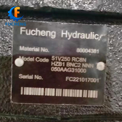 Sauer 51 Series 51V 080 RC6N/51V 250 RC8N/51C080RD3N Cast Iron Hydraulic Piston Motor