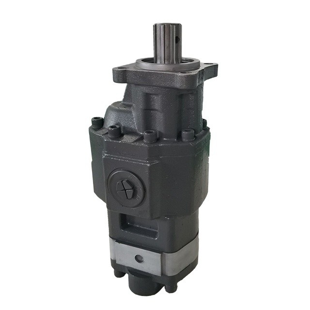 Standard CbhsN17-80 Hydraulic Gear Pump for Dump Truck in Black Performance