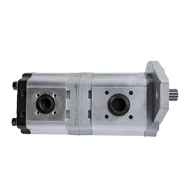 Standard 20cc 20cc Aluminum Hydraulic Gear Pump Double Pump for Machinery from Fucheng